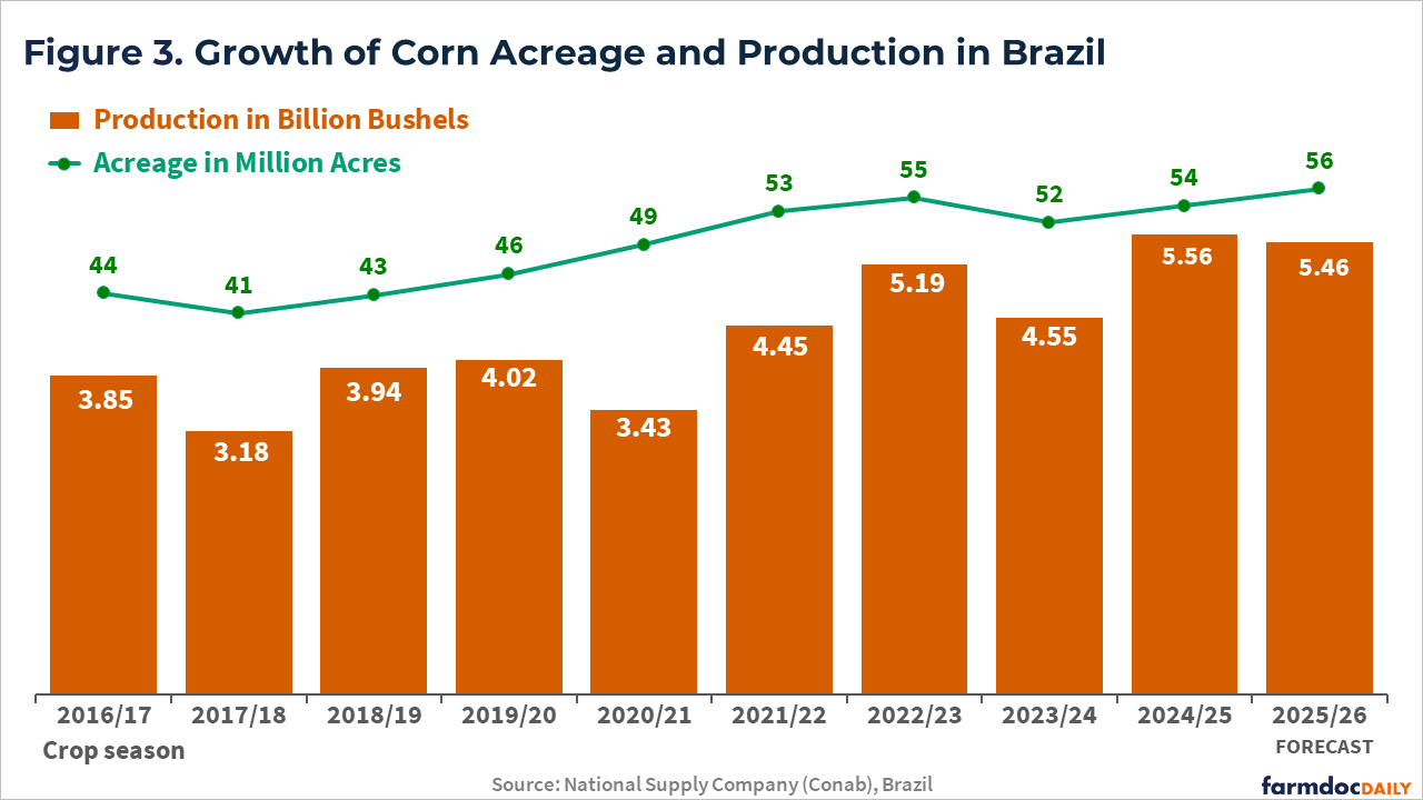 Combined bar and line chart showing growth of Brazilian corn acreage and production from 2016/17 to 2025/26 forecast. Orange bars represent production in billion bushels, and green line with dots shows acreage in million acres.
