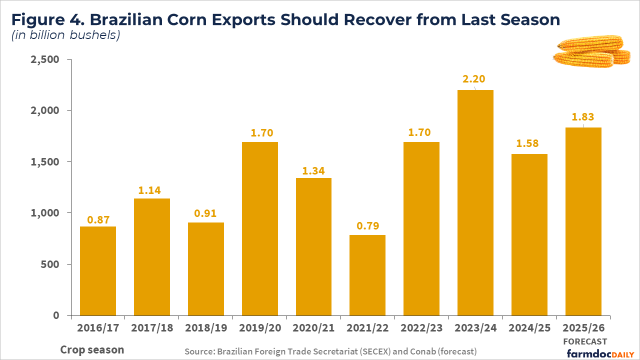 Bar chart showing Brazilian corn exports in billion bushels from 2016/17 to 2025/26 forecast. Yellow/gold bars display volatile export patterns, starting at 0.87 billion bushels in 2016/17, reaching peaks of 2.20 billion in 2023/24, dropping to 1.58 billion in 2024/25, then recovering to a forecasted 1.83 billion bushels in 2025/26.
