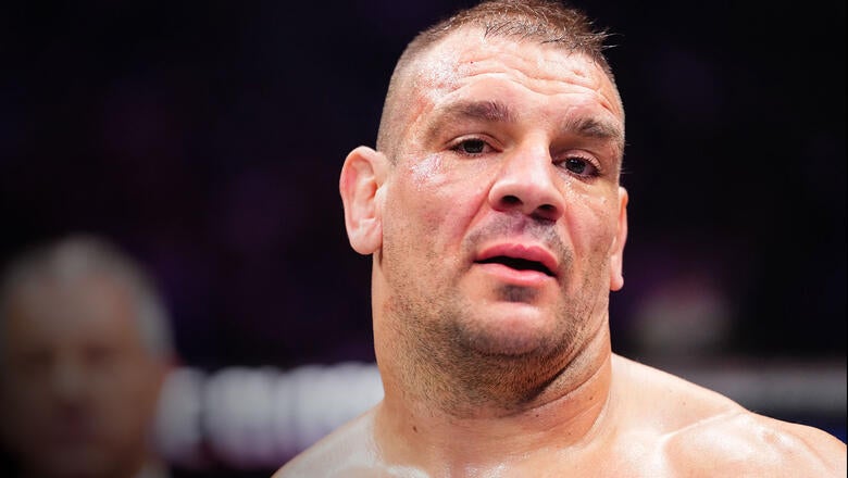 Ante Delija | Making Waves