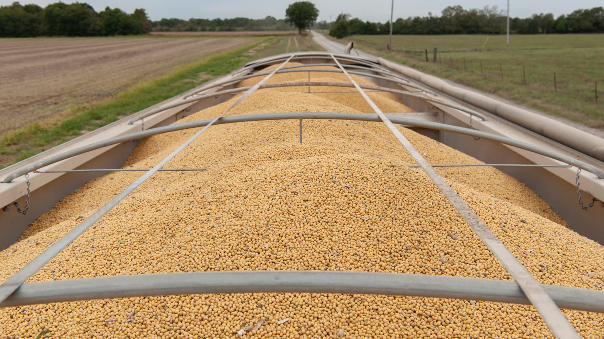 China buys three U.S. soybean cargoes ahead of Trump-Xi meeting, Reuters reports