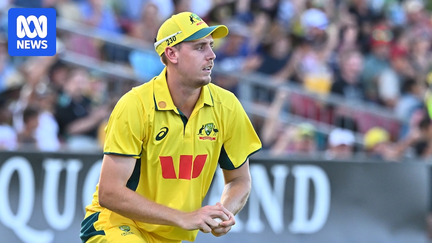 Cameron Green ruled out of Australia vs India ODI series, Marnus Labuschagne called into squad