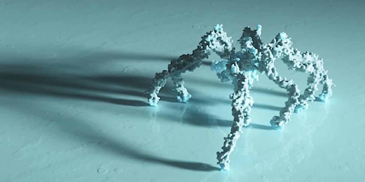Spider-like proteins spin defenses to control immunity