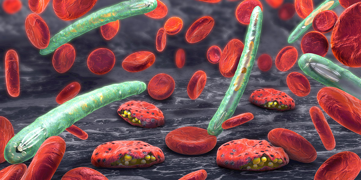 AI-designed biomarker improves malaria diagnostics
