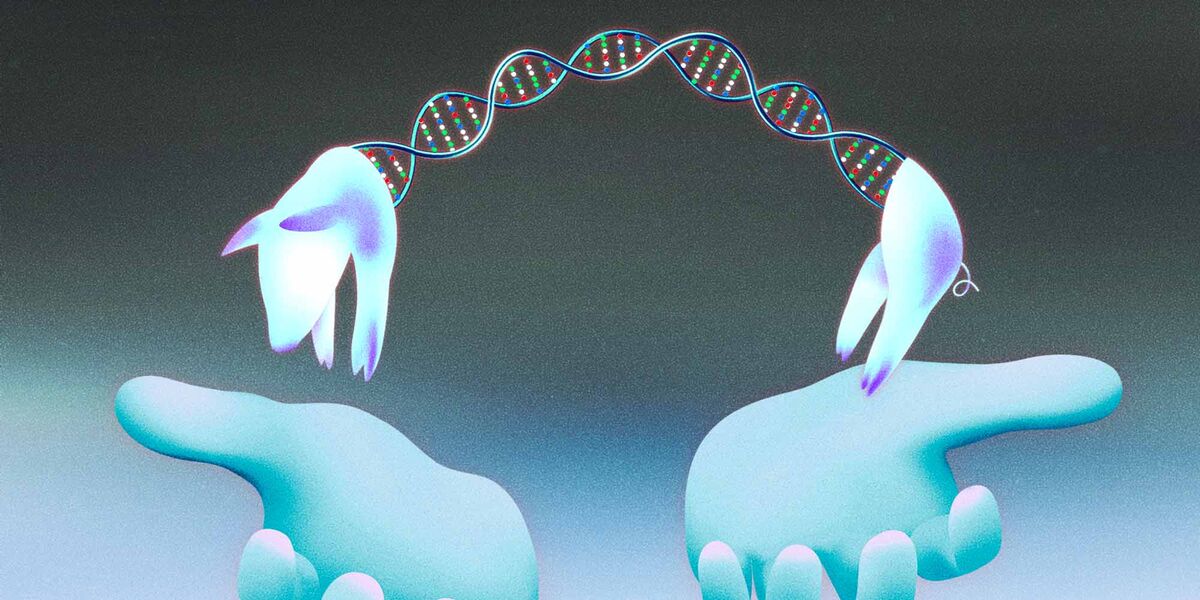 China Biotech Scientists Push Boundaries in Animal Testing