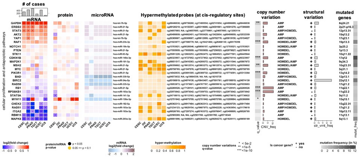 MultiModalGraphics: an R package for graphical integration of multi-omics datasets | BMC Bioinformatics