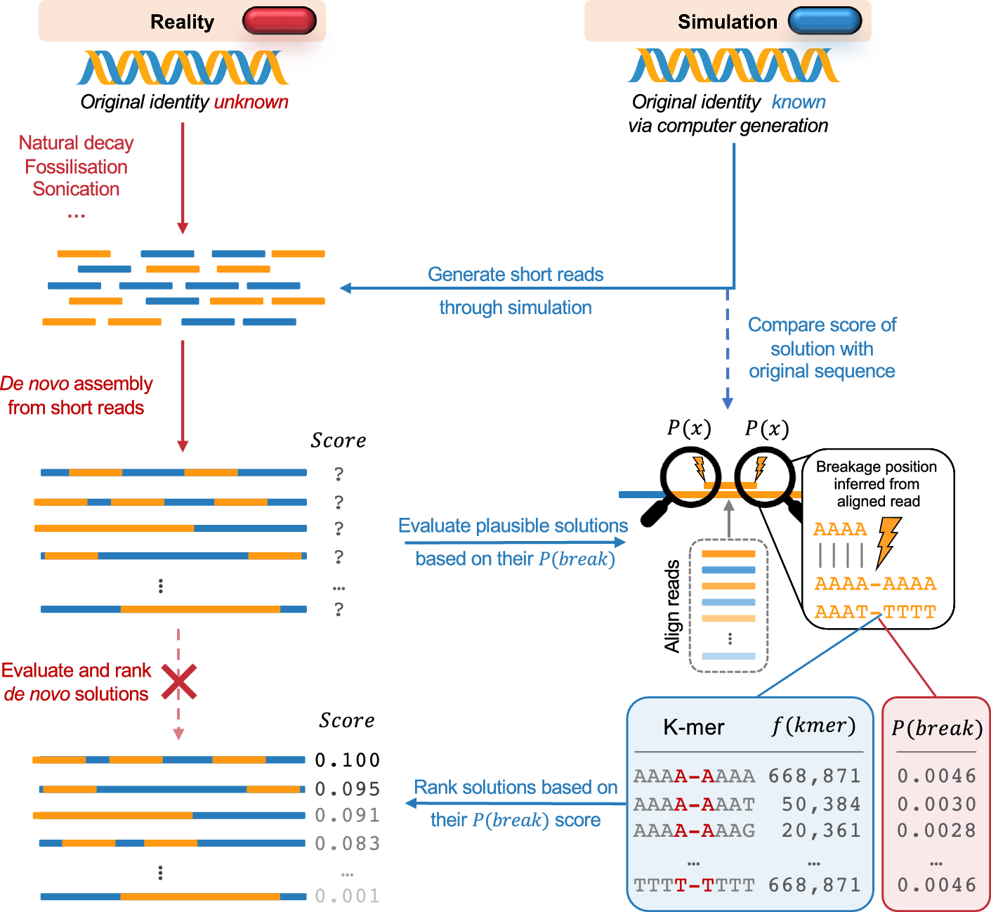 Prior knowledge on context-driven DNA fragmentation probabilities can improve de novo genome assembly algorithms | BMC Bioinformatics