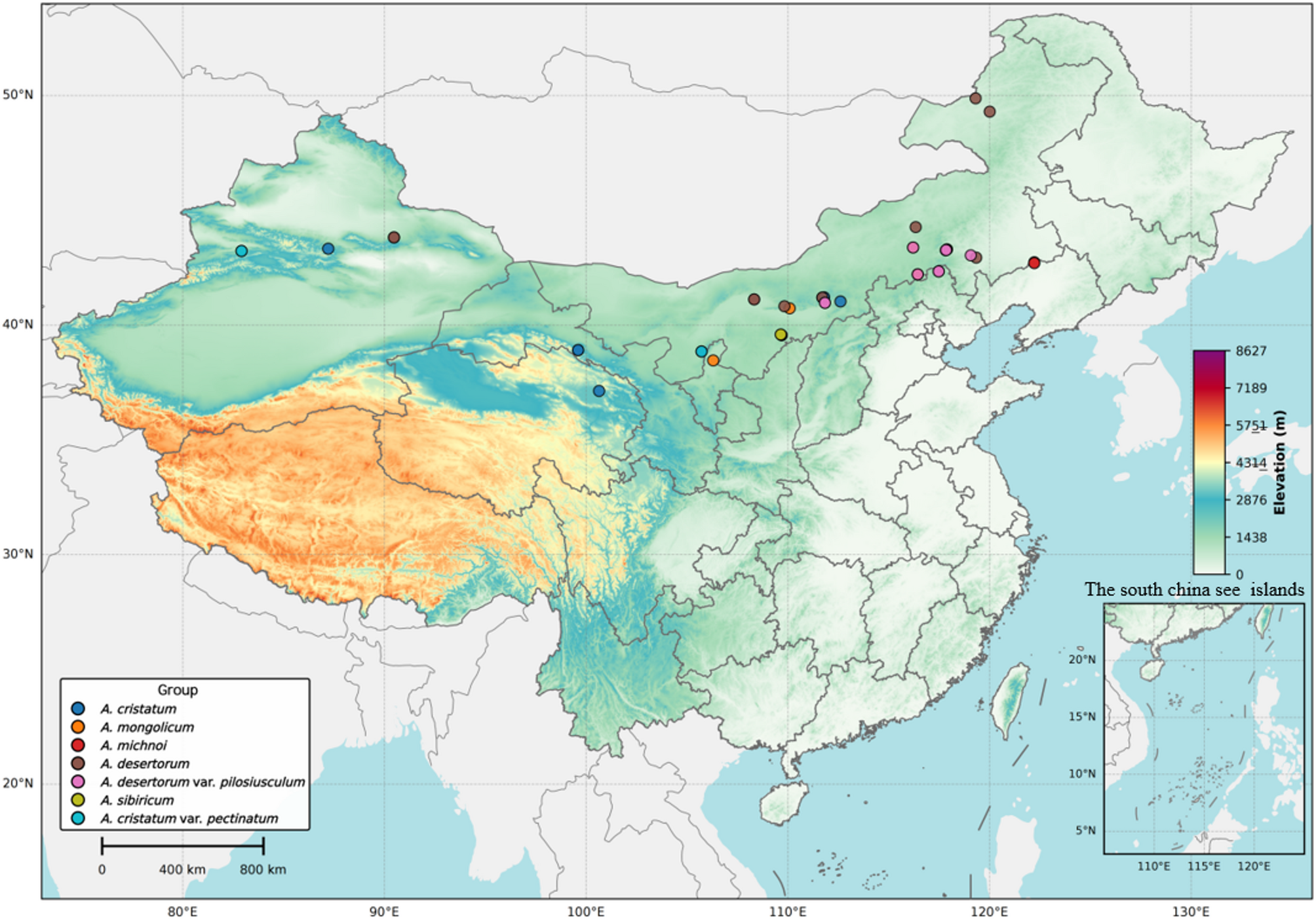 Comparative analysis of Chloroplast genomes in 48 samples from 5 species and 2 varieties of Agropyron Gaertn. (Poaceae, Triticeae) | BMC Genomics