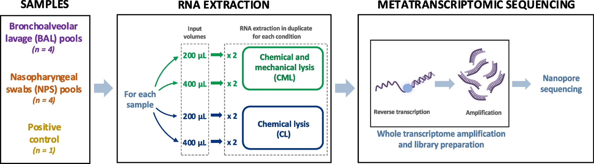 Impact of RNA extraction on respiratory microbiome analysis using third-generation sequencing | BMC Genomics