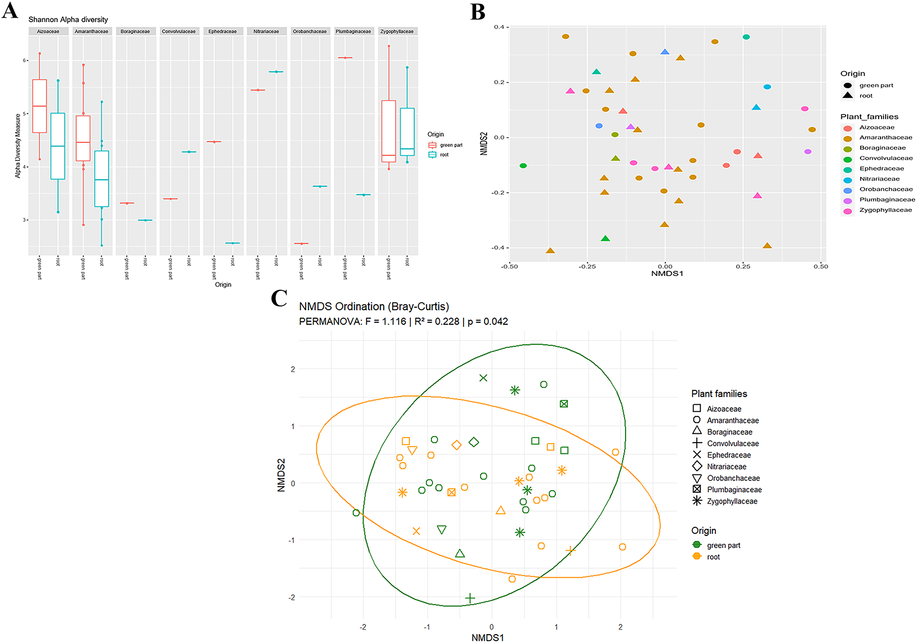 Endophytic bacterial communities associated with halophytic plants in kebili and Gabes regions of Southern Tunisia | BMC Microbiology