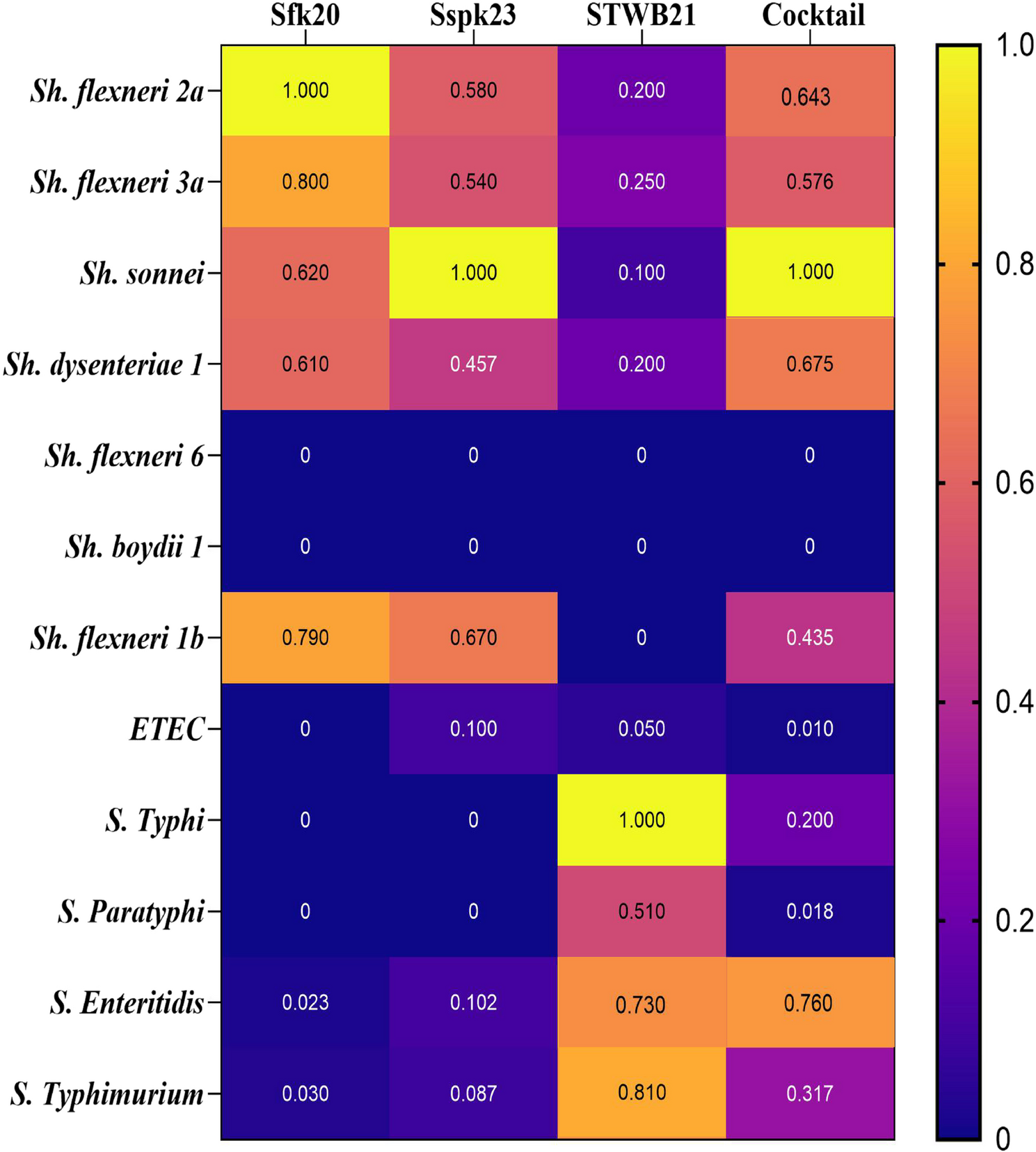 Utilizing the effectiveness of phage cocktail to combat Shigella and Salmonella infections and their polymicrobial biofilm control activity | BMC Microbiology