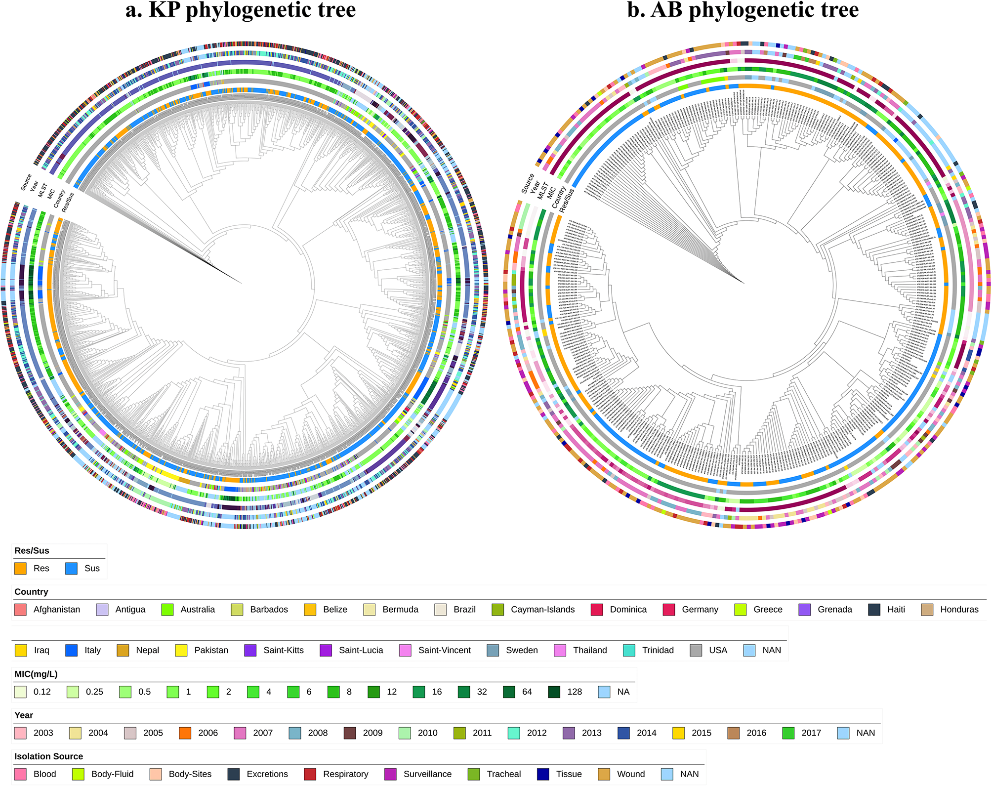 Unveiling meropenem resistance and co-resistance patterns in Klebsiella pneumoniae and Acinetobacter baumannii: a global genome analysis using ML/DL and association mining | BMC Microbiology