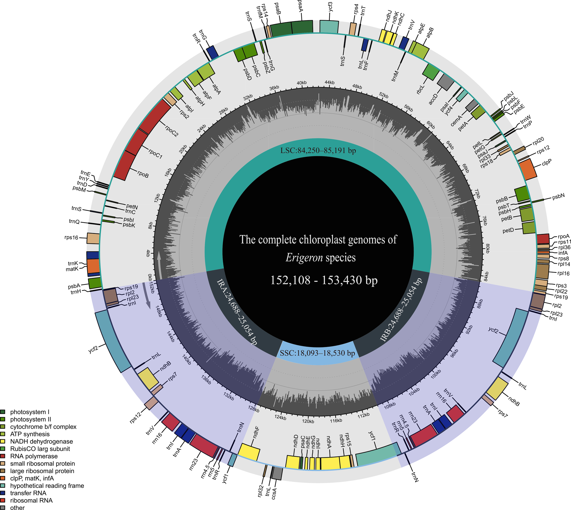 Comparative chloroplast genomics of Erigeron (Asteroideae, Asteraceae) | BMC Plant Biology