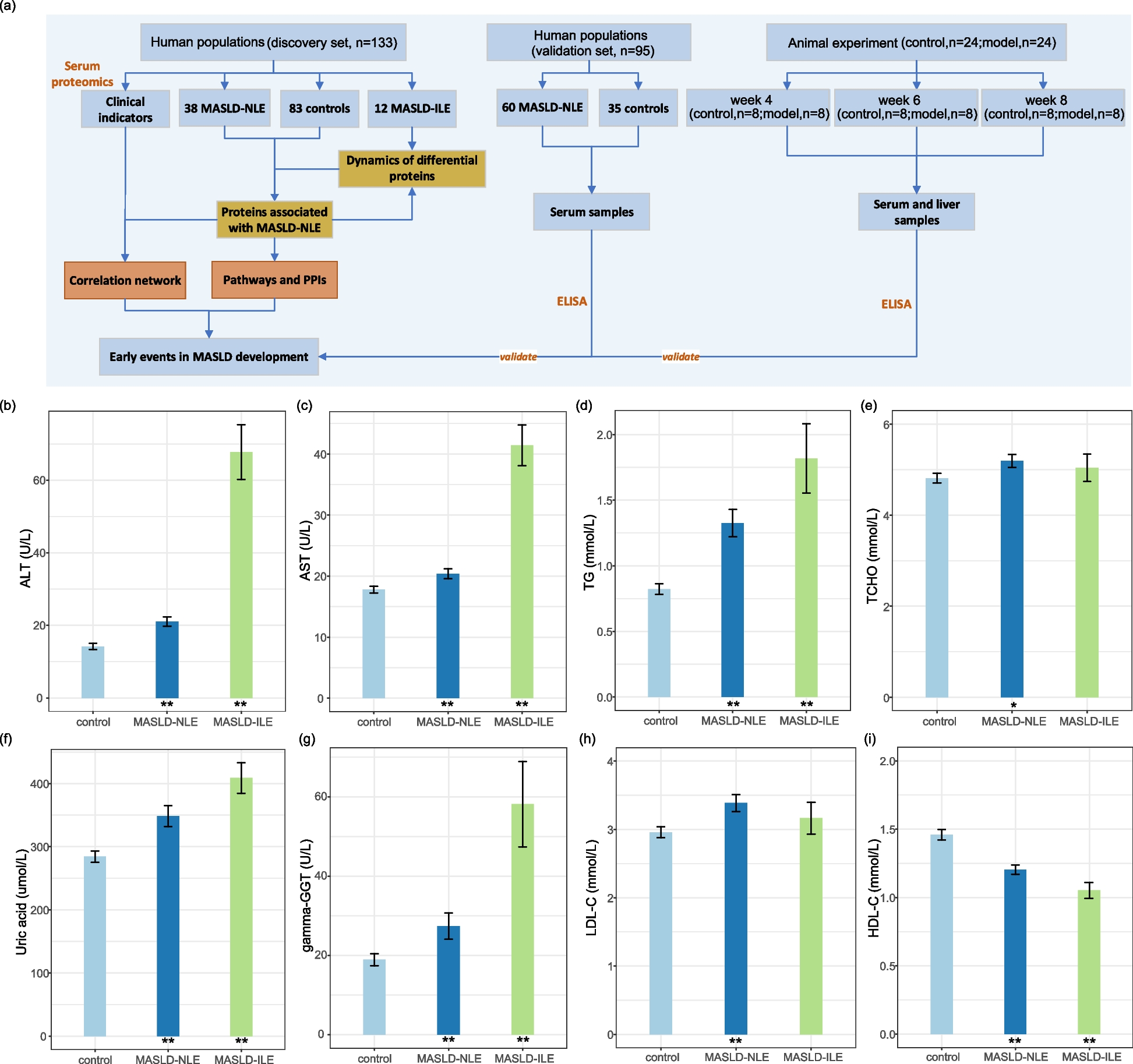 Early elevation of complement-related proteins in metabolic dysfunction-associated steatotic liver disease (MASLD) with normal liver enzymes | BMC Gastroenterology