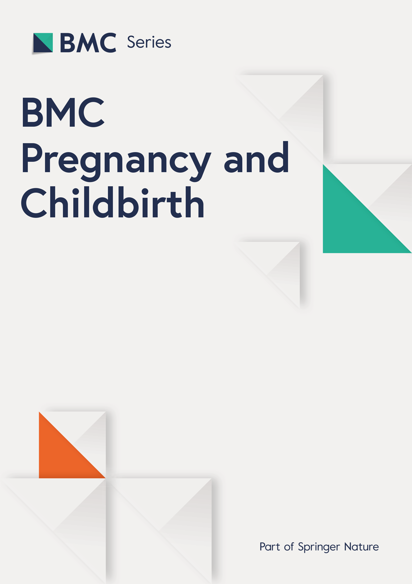 Factors influencing receipt of mental health services for Black women living in Los Angeles County during the perinatal period | BMC Pregnancy and Childbirth