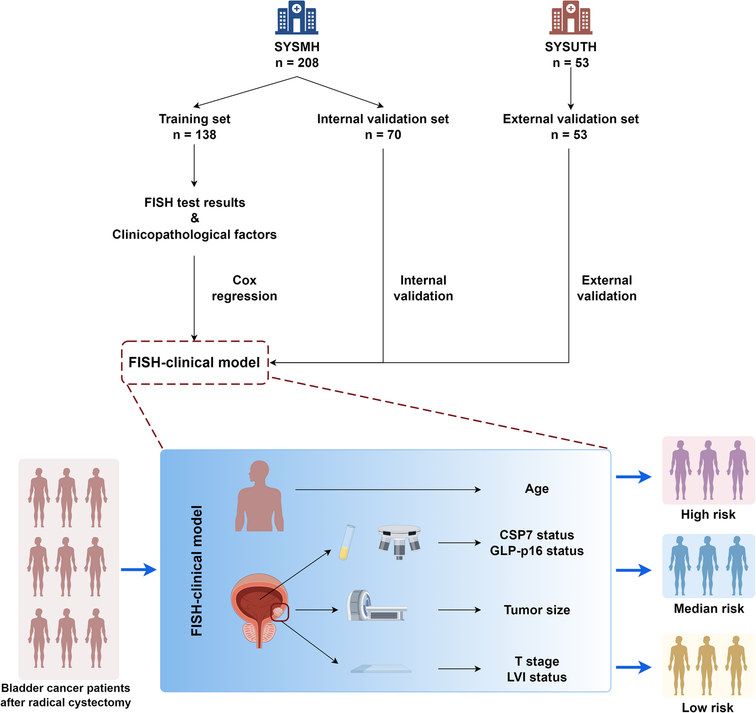 Development and external validation of a FISH-clinical nomogram for predicting overall survival in bladder cancer patients after radical cystectomy | BMC Cancer