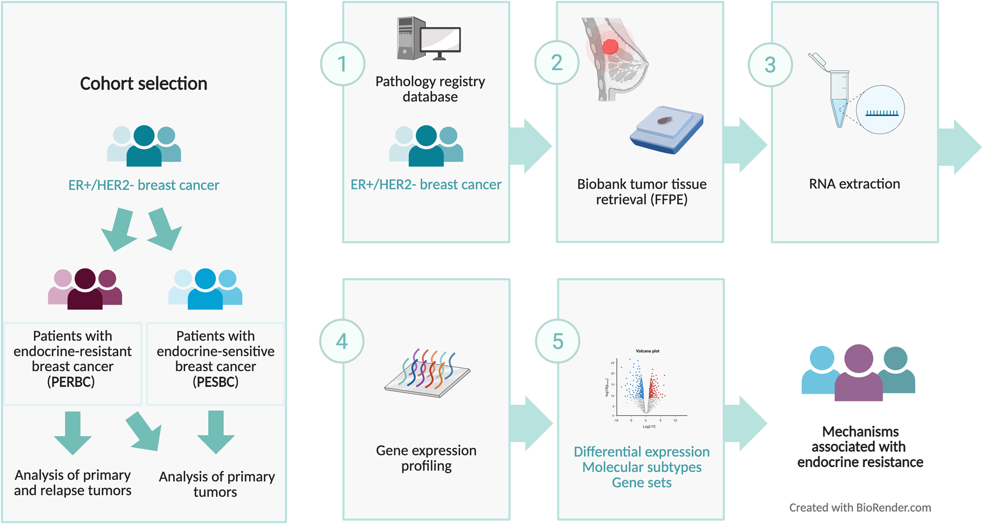Transcriptomic profiles of endocrine-resistant breast cancer | BMC Cancer