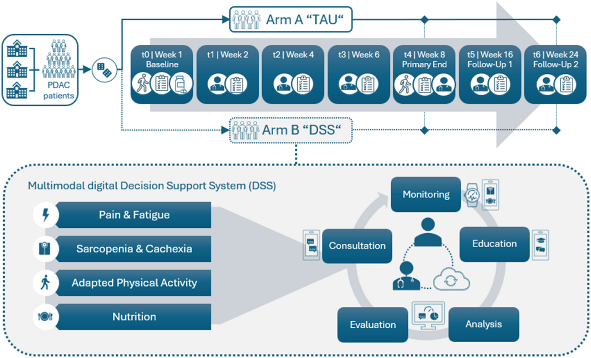 Digital and AI-assisted multimodal supportive care, combining physical activity, nutrition, and pain management during chemotherapy for advanced pancreatic cancer patients: study protocol of the European multicenter randomized controlled trial of the RELEVIUM project | BMC Cancer
