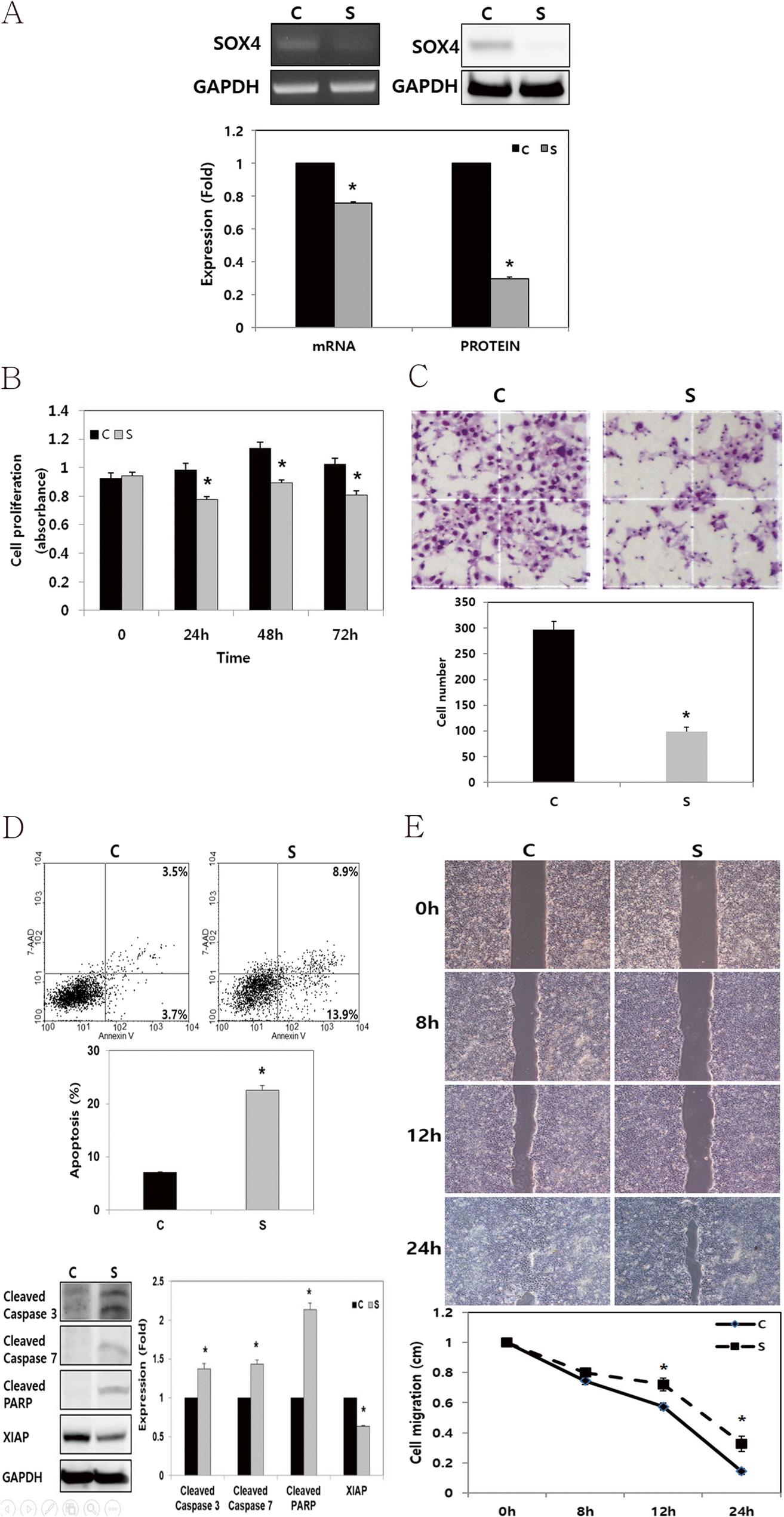 SOX4 enhances tumor progression and cisplatin resistance in orthotopic mouse xenograft model of head and neck squamous cell carcinoma | BMC Cancer