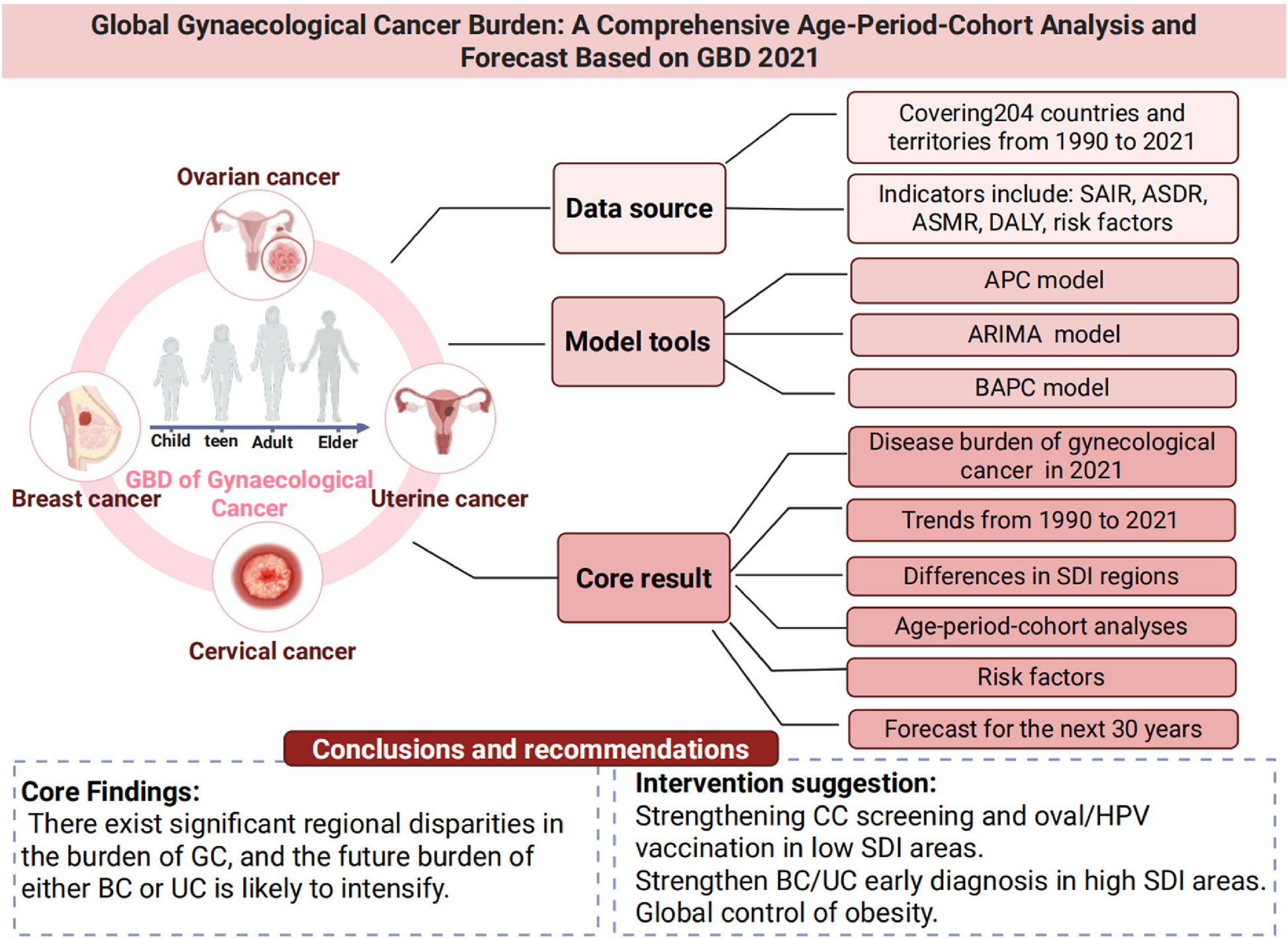 Trends and projections of global gynaecological cancer burden: age-period-cohort insights from Global Burden of Disease 2021 | BMC Women’s Health
