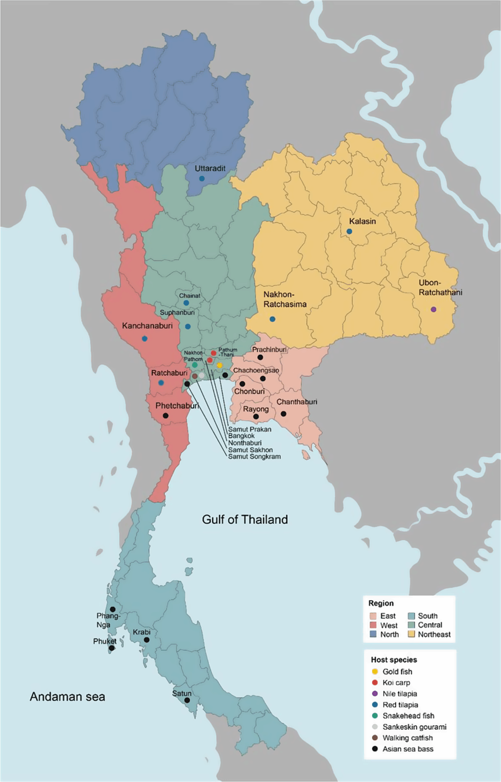 Diversity and antimicrobial resistance among bacterial isolates from finfish aquaculture in Thailand | BMC Veterinary Research