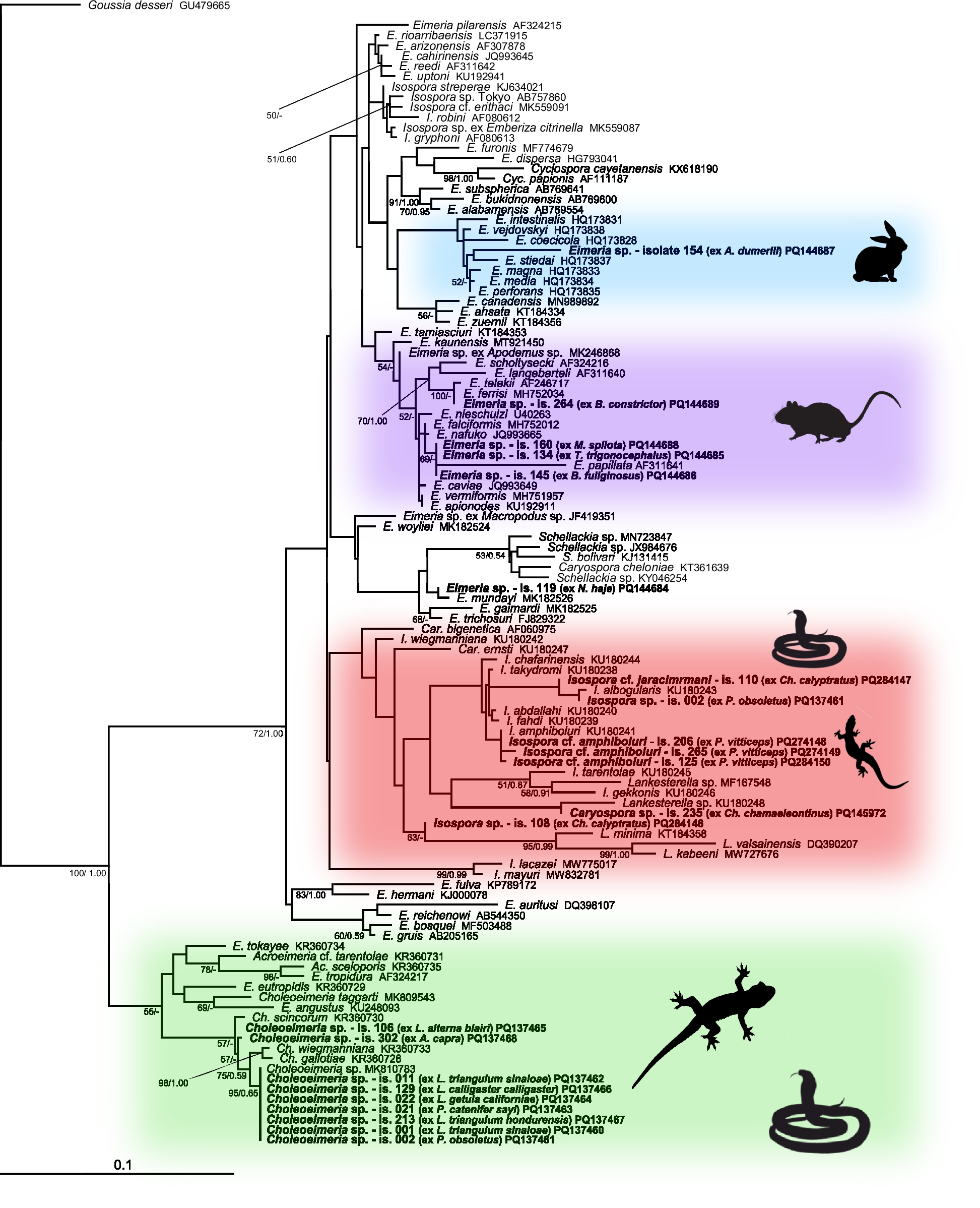 Gastrointestinal apicomplexan parasites of captive reptiles: diversity, causes, consequences | BMC Veterinary Research