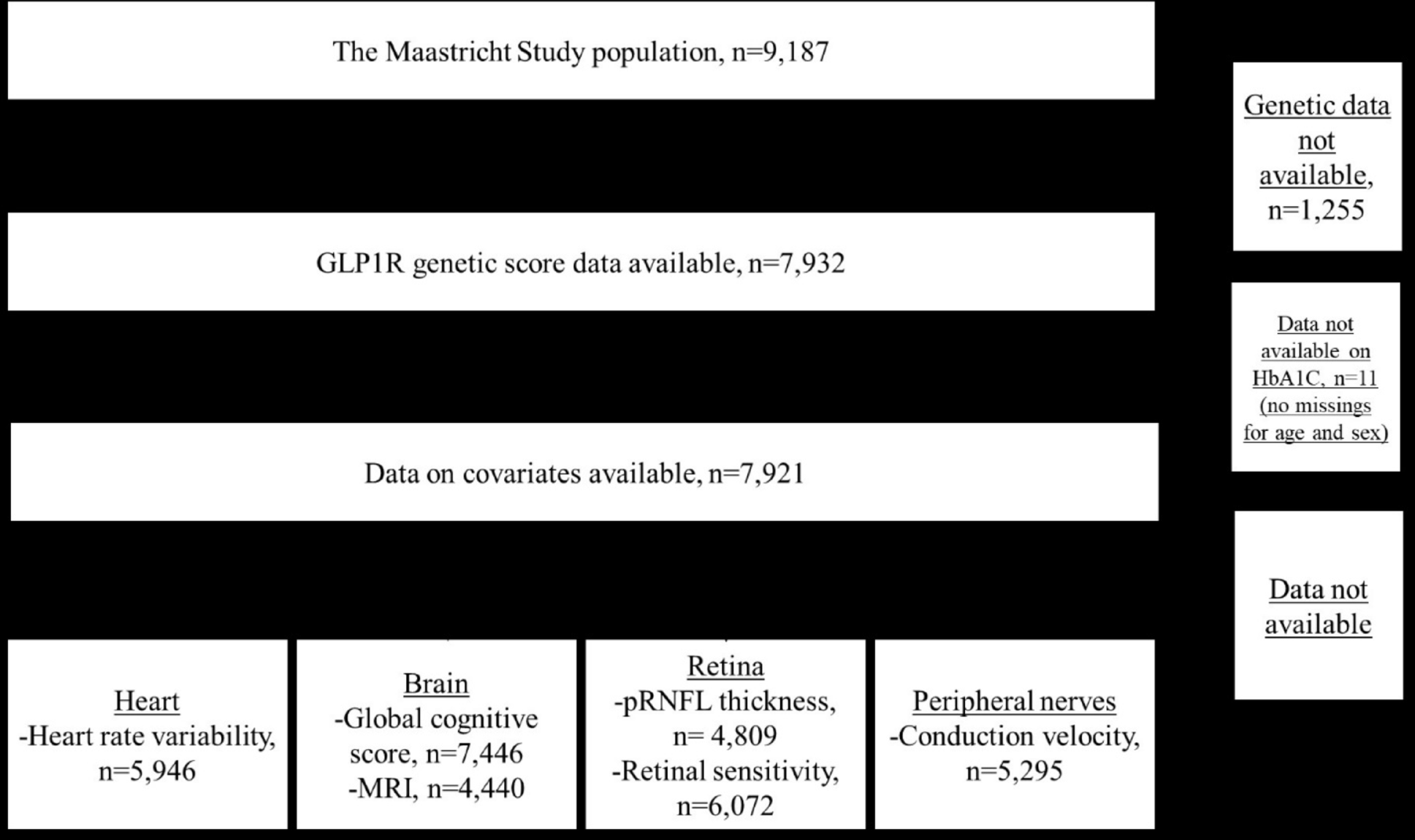 Genetic variation in the glucagon-like peptide-1 receptor protein encoding region is associated with higher heart rate variability, but not with neurodegeneration of the brain, retina, and peripheral nerves: The Maastricht study | Cardiovascular Diabetology