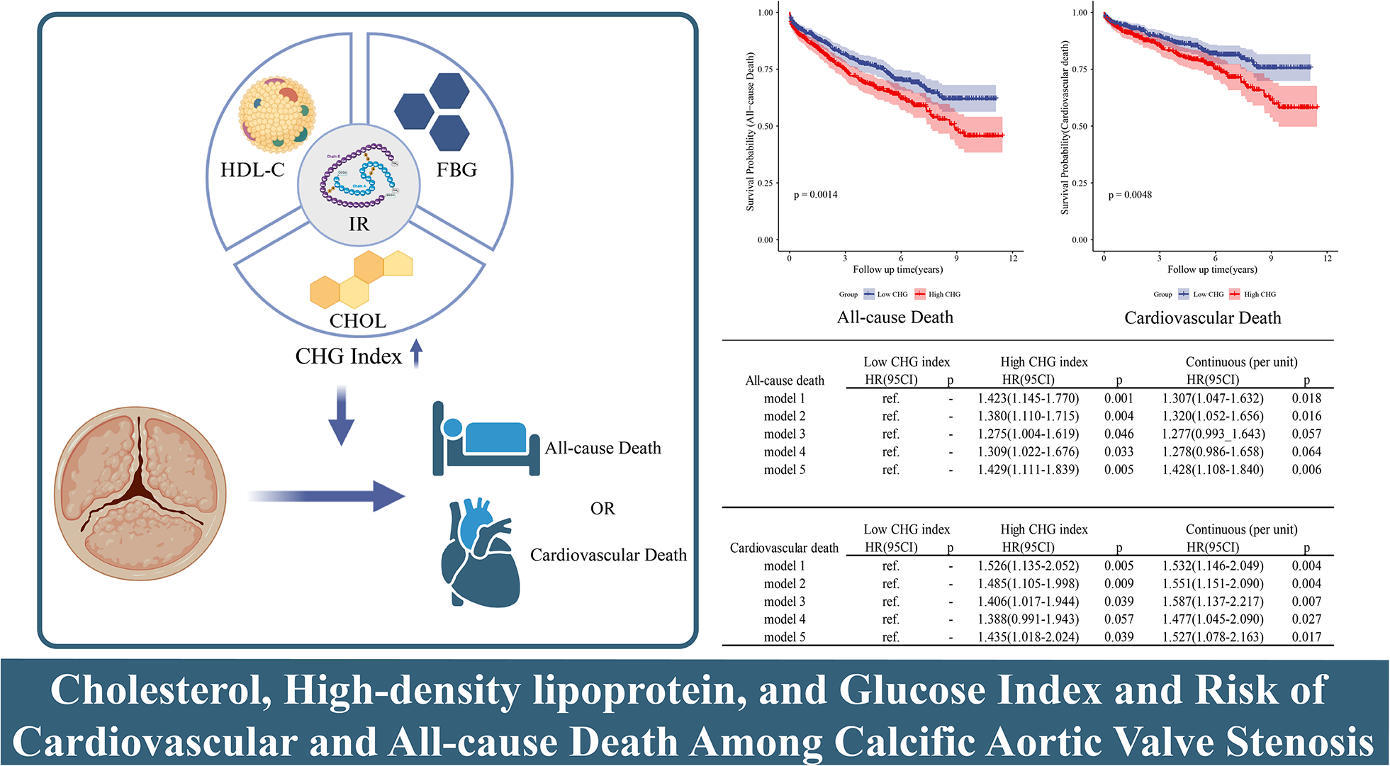 Association between cholesterol, high-density lipoprotein, and glucose index and risks of cardiovascular and all-cause mortality in patients with calcific aortic valve stenosis: the ARISTOTLE cohort study | Cardiovascular Diabetology