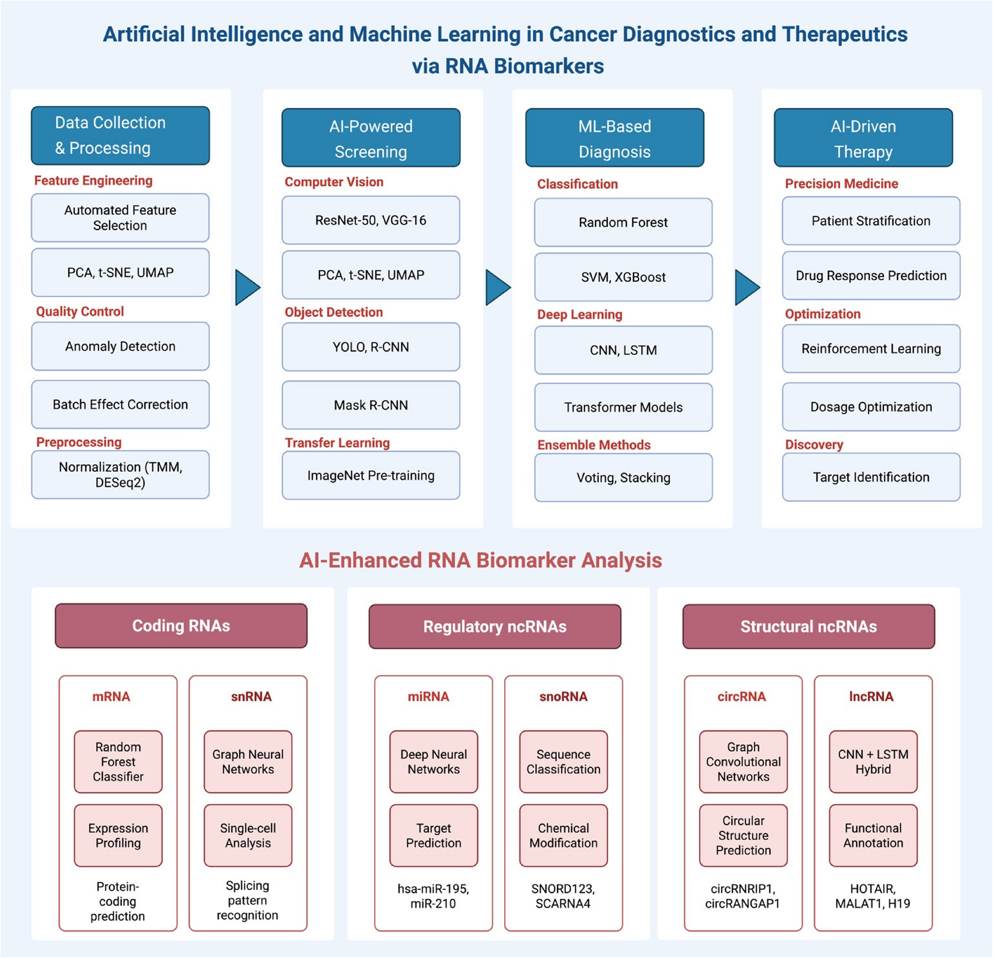 Integrating AI and RNA biomarkers in cancer: advances in diagnostics and targeted therapies | Cell Communication and Signaling