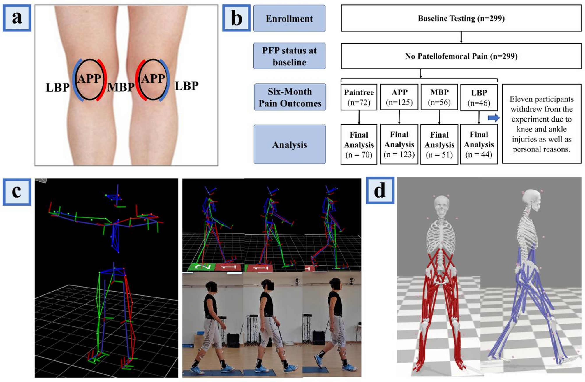 Re-examining the association between region-specific pain recurrence and muscle force strategies in patients with patellofemoral pain via OpenSim and artificial intelligence: a prospective cohort study toward targeted rehabilitation | Journal of Neur…