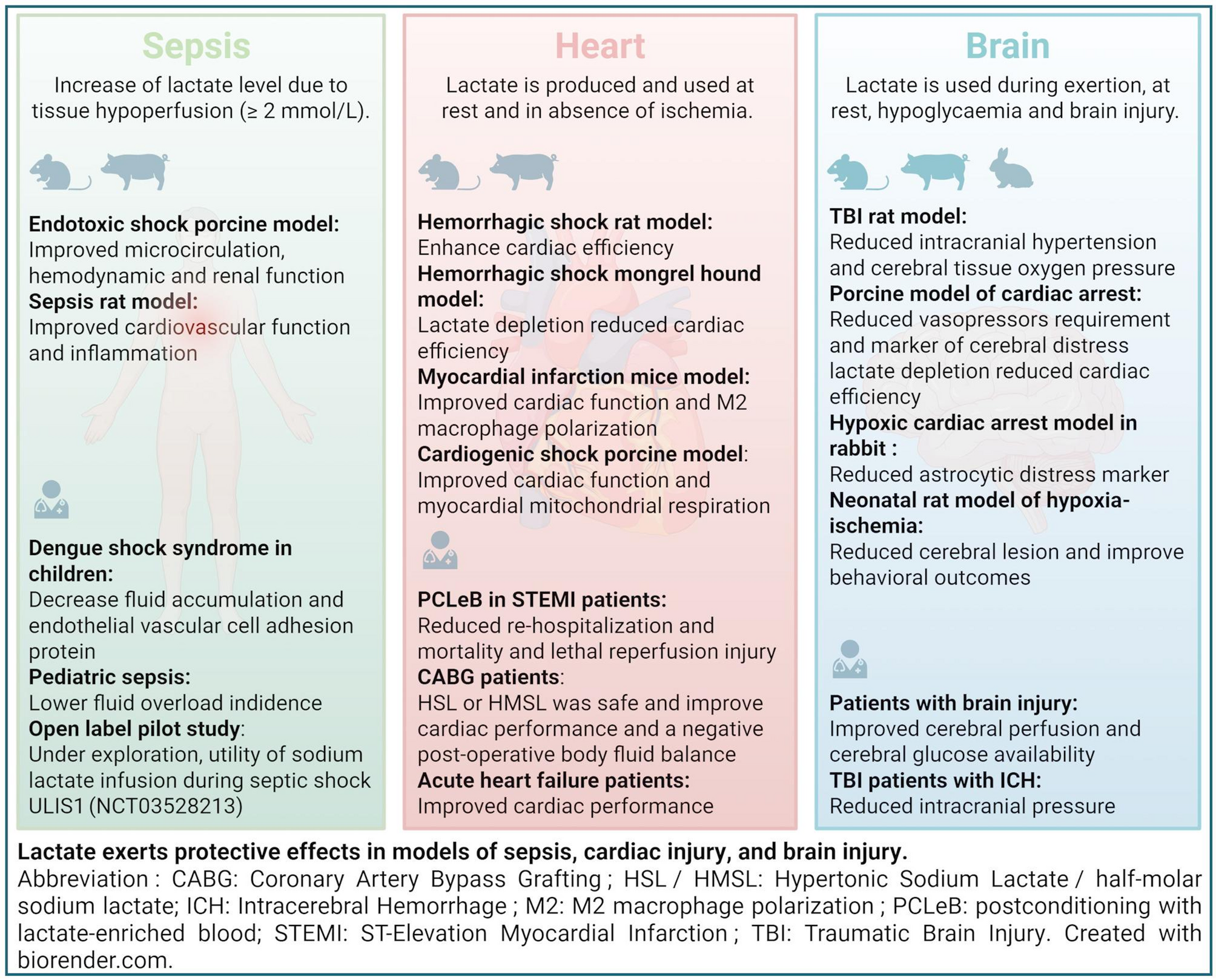 Unlocking the metabolic and anti-inflammatory therapeutic potential of lactate in critically ill patients | Critical Care