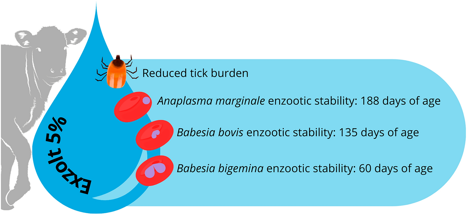 Does fluralaner (Exzolt® 5%) affect the enzootic stability of tick fever in beef calves subjected to strategic tick control in a tropical region? | Parasites & Vectors