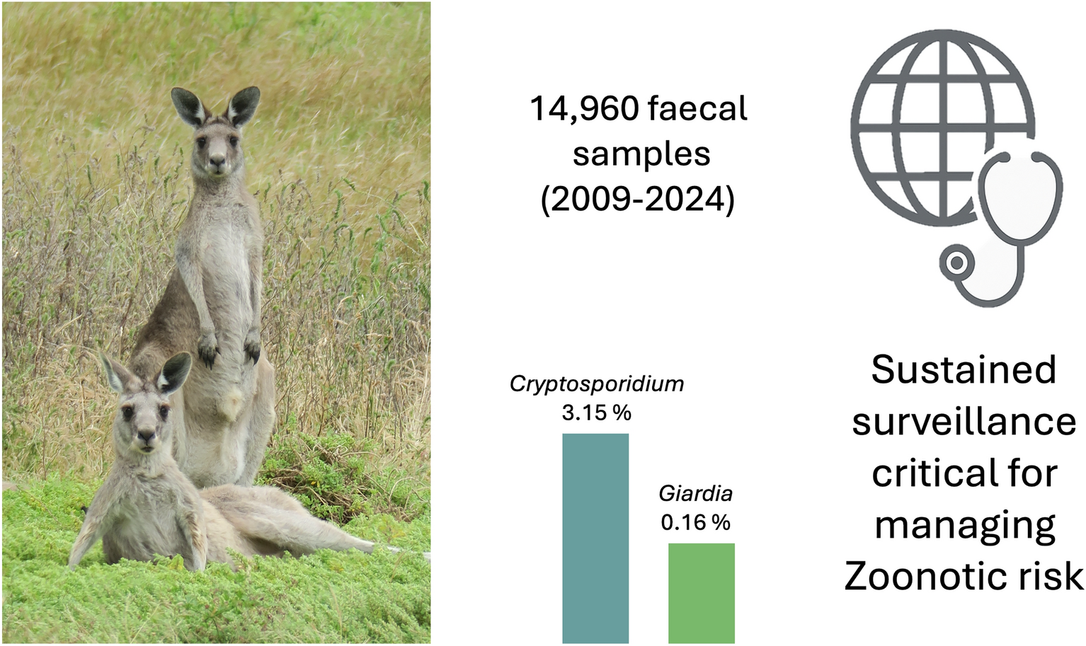 Long-term molecular surveillance of Cryptosporidium and Giardia in wildlife in protected drinking water catchments | Parasites & Vectors