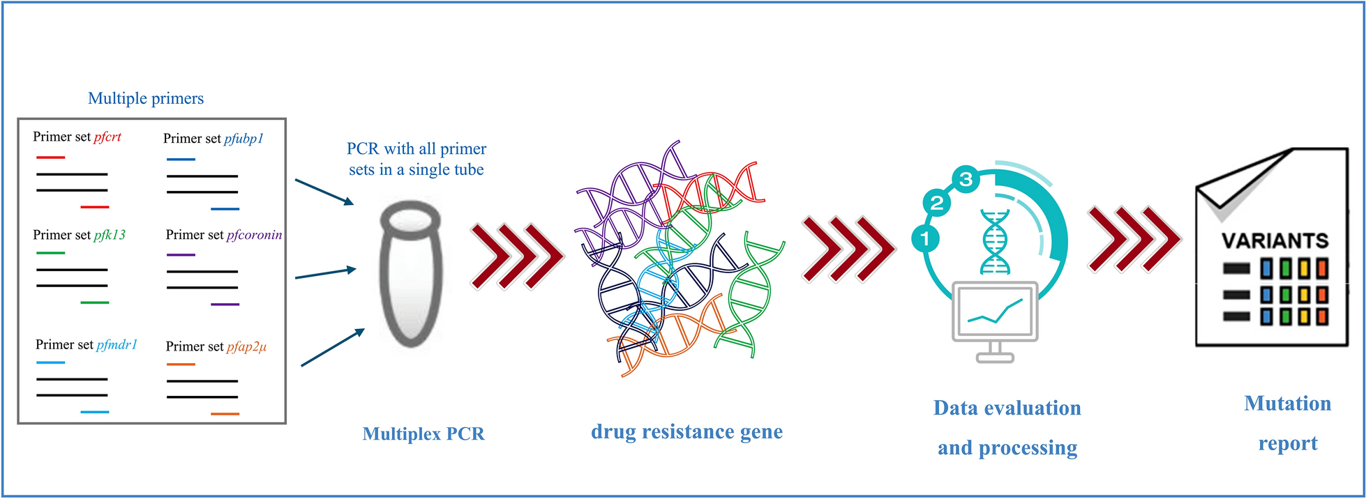 Multiplex long-amplicon sequencing for comprehensive molecular surveillance of Plasmodium falciparum resistance to artemisinin and partner drugs in artemisinin-based combination therapies (ACTs) | Parasites & Vectors