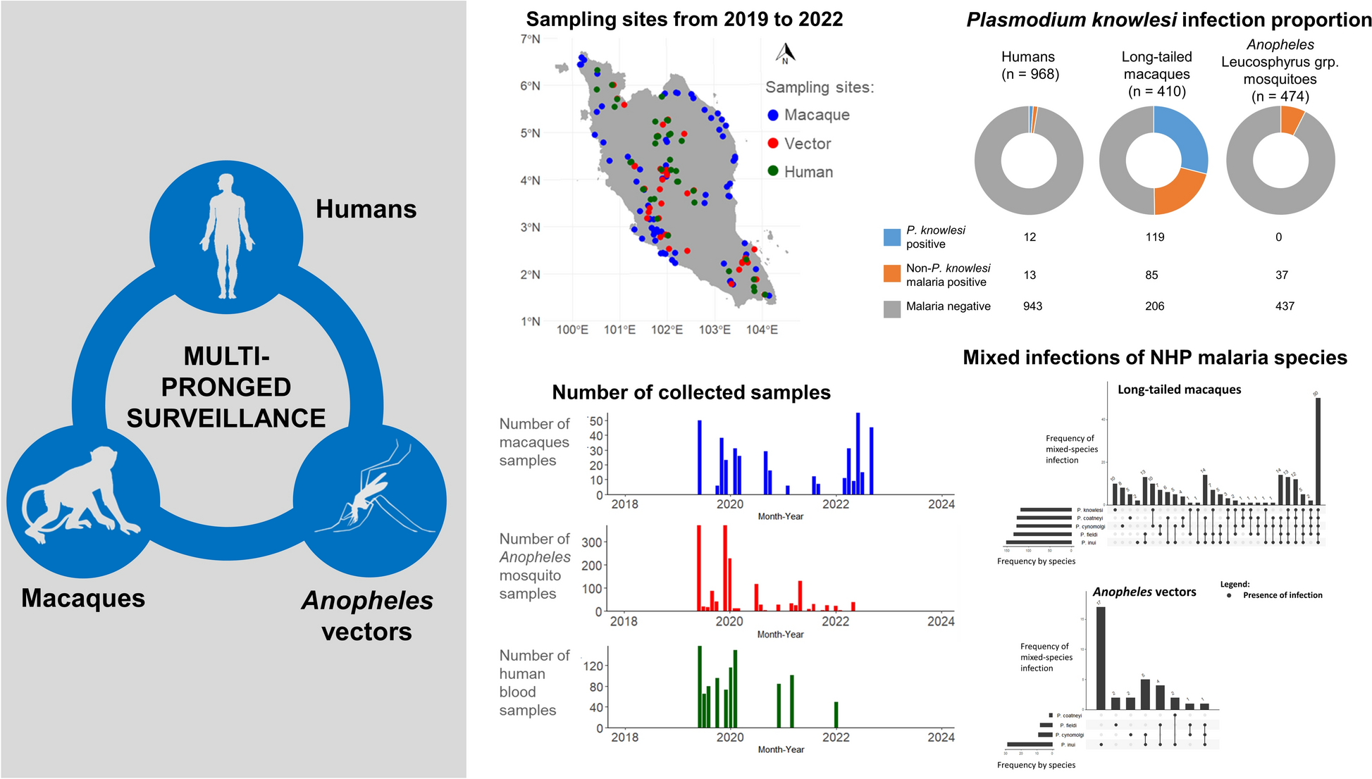 Multi-pronged surveillance to understand the spatiotemporal correlations among macaques, vectors and humans in Plasmodium knowlesi malaria transmission | Parasites & Vectors