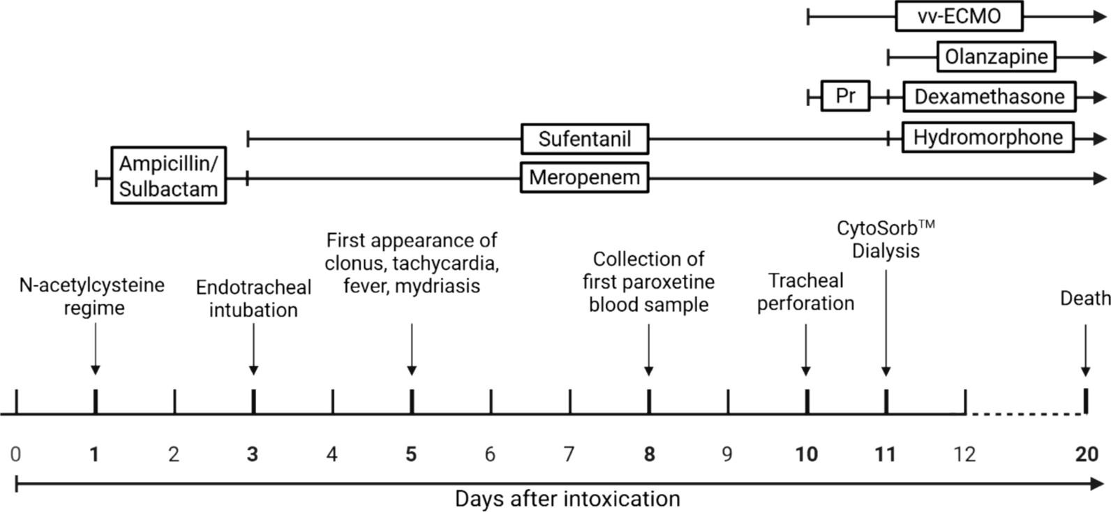 Fatal outcome of severe serotonin syndrome and acute respiratory distress syndrome after self-poisoning with paroxetine: a case report | Journal of Medical Case Reports