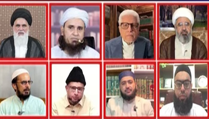 CII overstepped its mandate in ruling against Mirza, say scholars