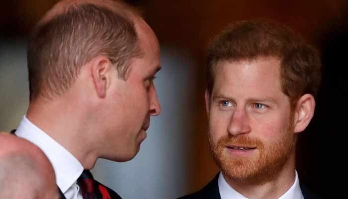 Prince Harry, William’s rift deepens amid royal tensions