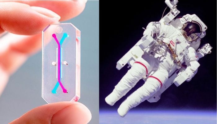 NASA to shift astronauts onto chips for lunar mission 2026