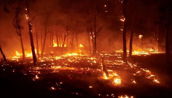Worst kinds of wildfires are becoming more frequent, new research reveals