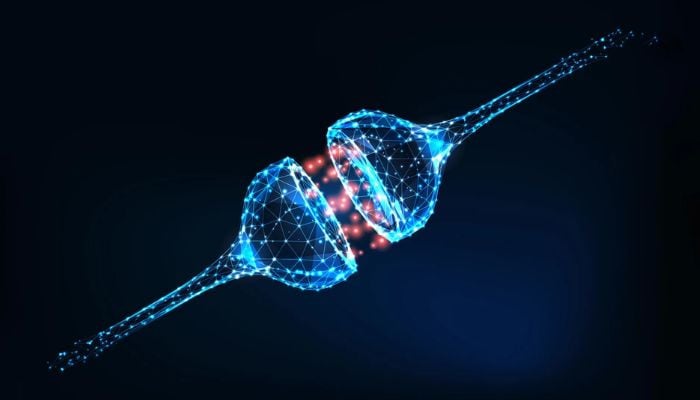 Scientists create artificial neurons that mimic brain function