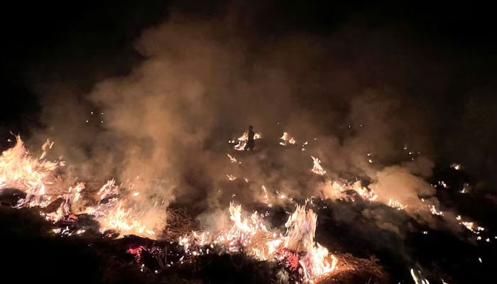 Maryam’s awareness drive reduces crop residue burning in Punjab