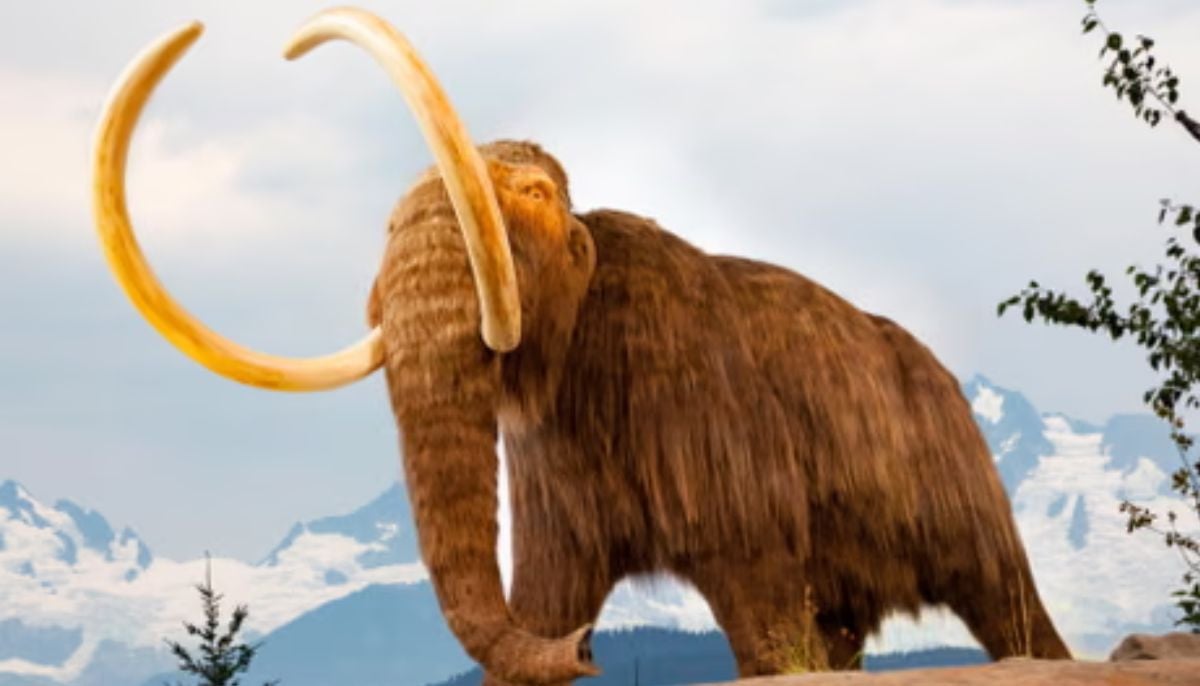 Scientists find signs of modern life recorded in ancient rocks