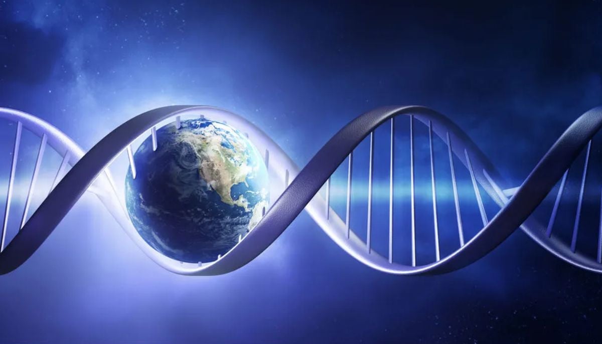 New mathematical model challenges very existence of life