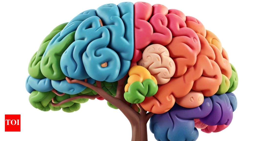Meditation and health: Scientific insights into its impact on the brain and immune system