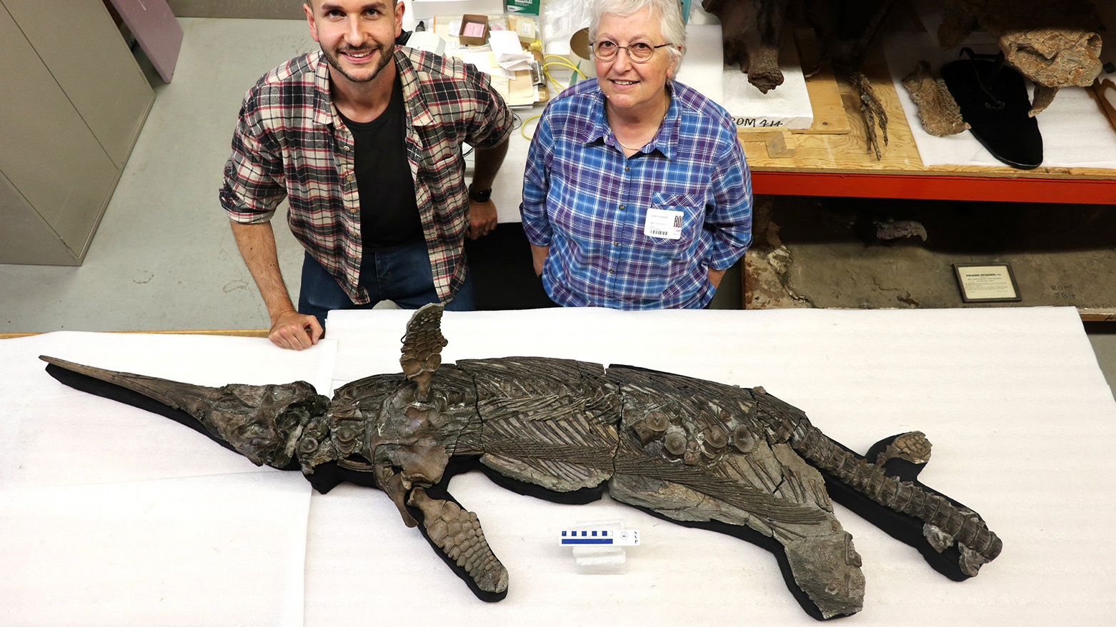 New ‘Sword Dragon’ Fossil Unearthed on England’s Jurassic Coast