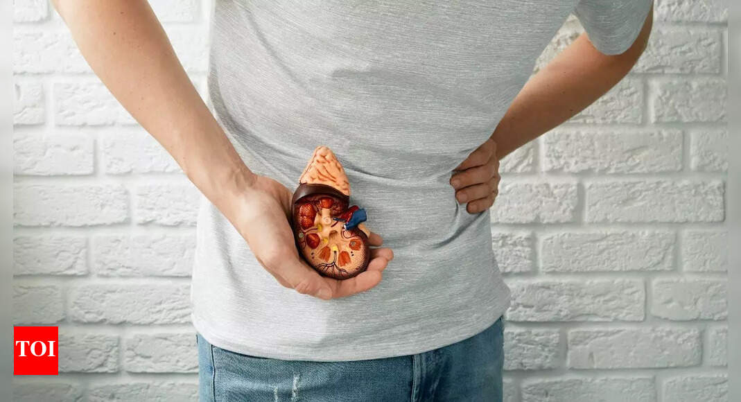Black seed for kidney stones: How Nigella sativa may naturally help dissolve stones and improve overall kidney health |