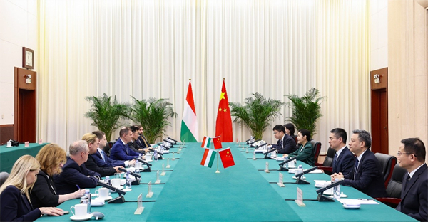 Minister of justice meets with Hungarian counterpart