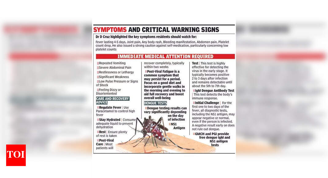 Hospitals swarmed as dengue stings city, docs advise caution | Chandigarh News