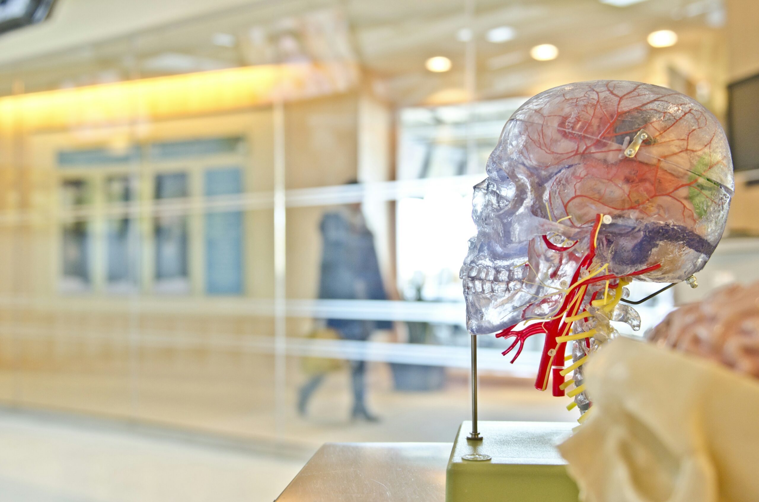 Brain Test Predicts Ability To Achieve Orgasm – But Only In Patients Taking Antidepressants