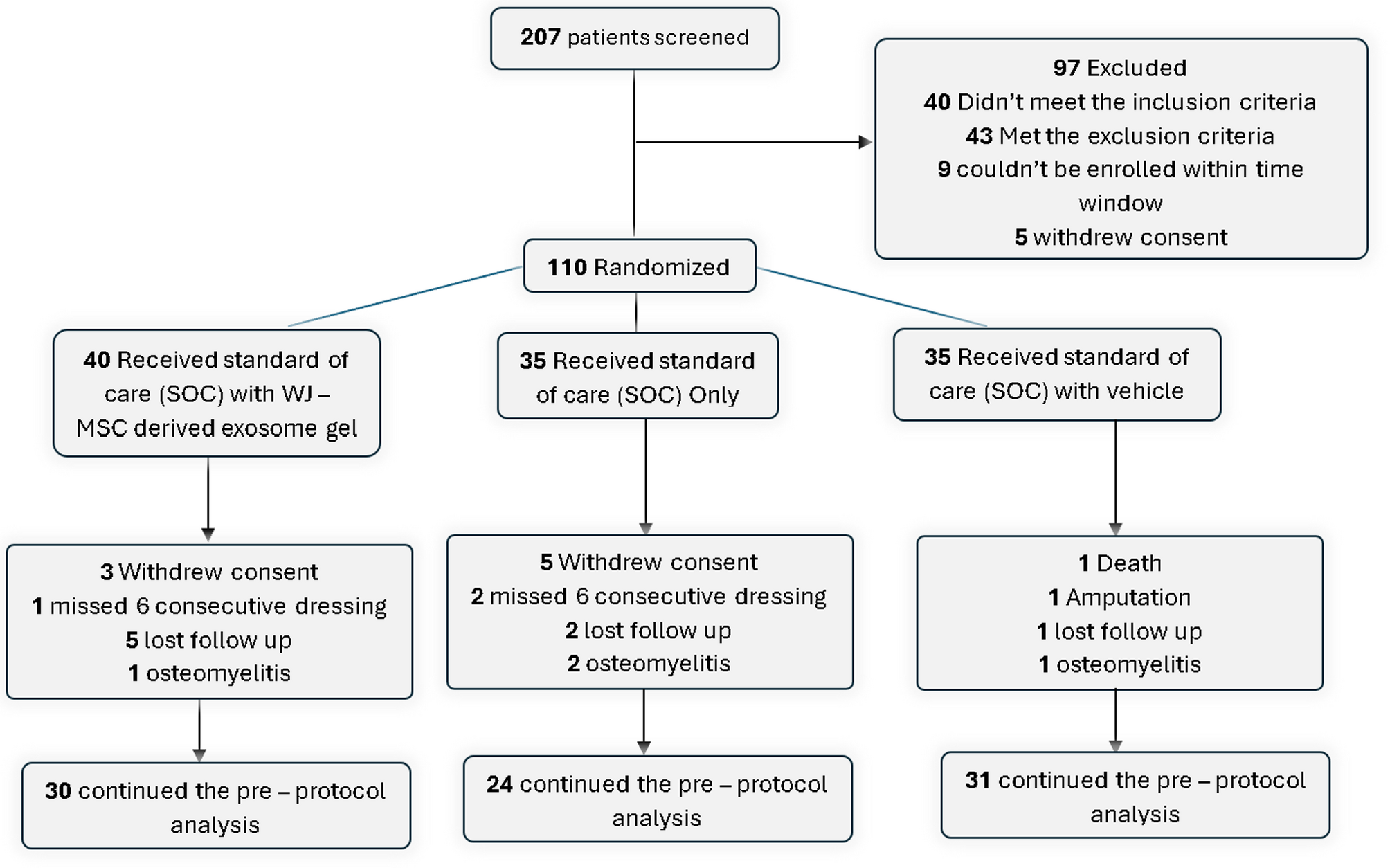 The transforming role of wharton’s jelly mesenchymal stem cell-derived exosomes for diabetic foot ulcer healing: a randomized controlled clinical trial | Stem Cell Research & Therapy